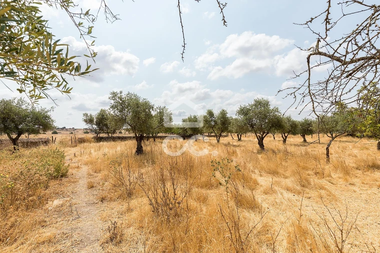 Terreno para Venda em Santa Eulalia Foto 20