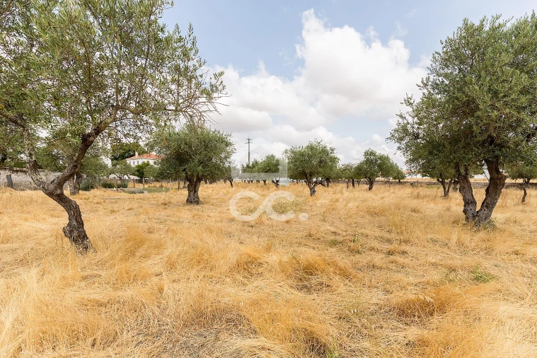 Terreno para Venda em Santa Eulalia Foto 24