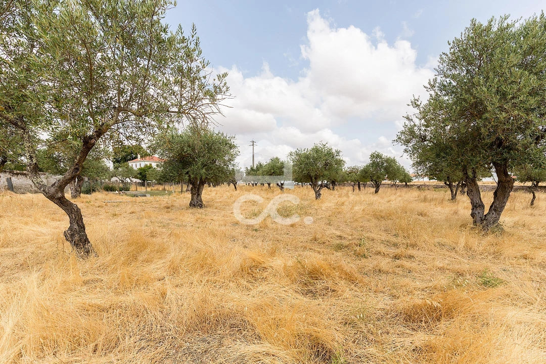 Terreno para Venda em Santa Eulalia Foto 24