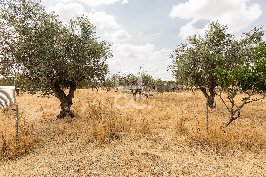 Terreno para Venda em Santa Eulalia Foto 15