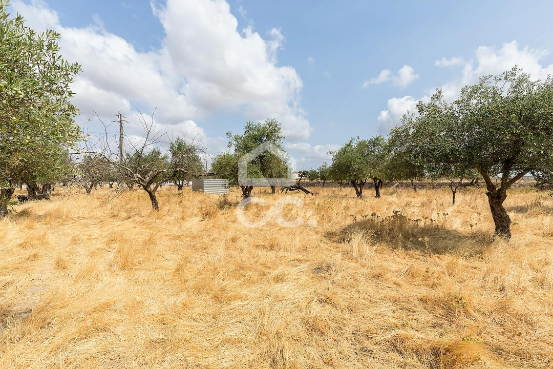 Terreno para Venda em Santa Eulalia Foto 28