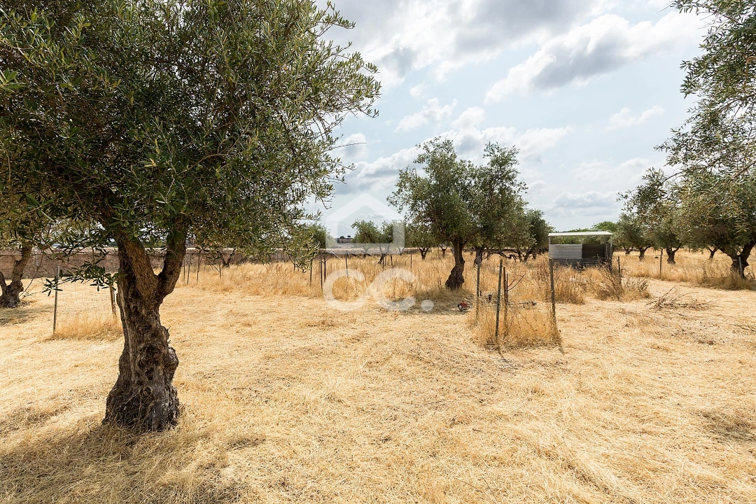 Terreno para Venda em Santa Eulalia Foto 12