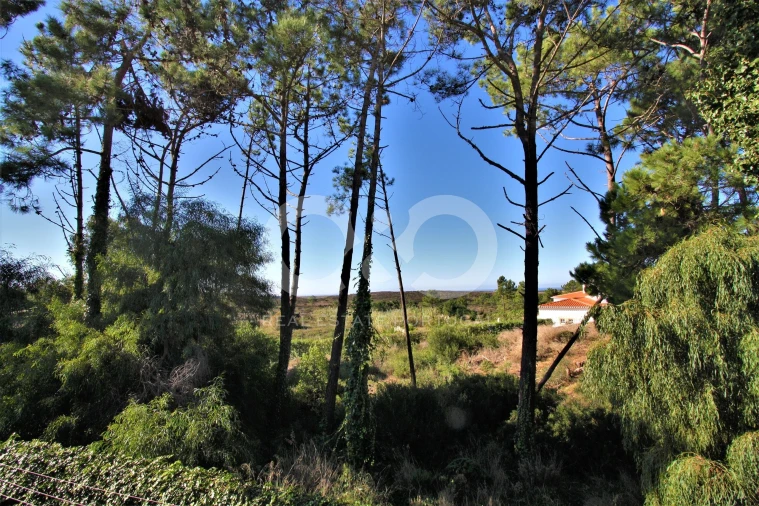 Moradia T8 para Venda em Aljezur Foto 9