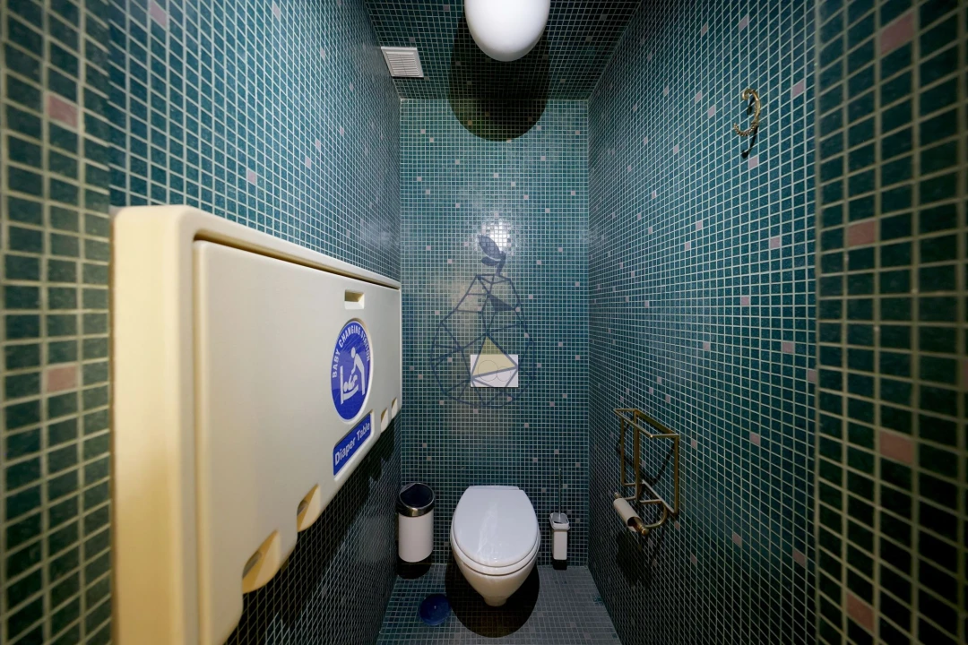 Negócio para Venda em Misericórdia Foto 28