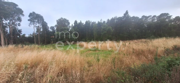 Terreno para Venda em Gaula