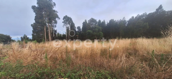 Terreno para Venda em Gaula