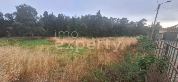 Terreno para Venda em Gaula