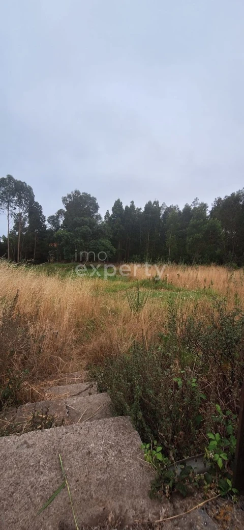 Terreno para Venda em Gaula