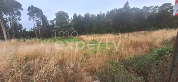 Terreno para Venda em Gaula