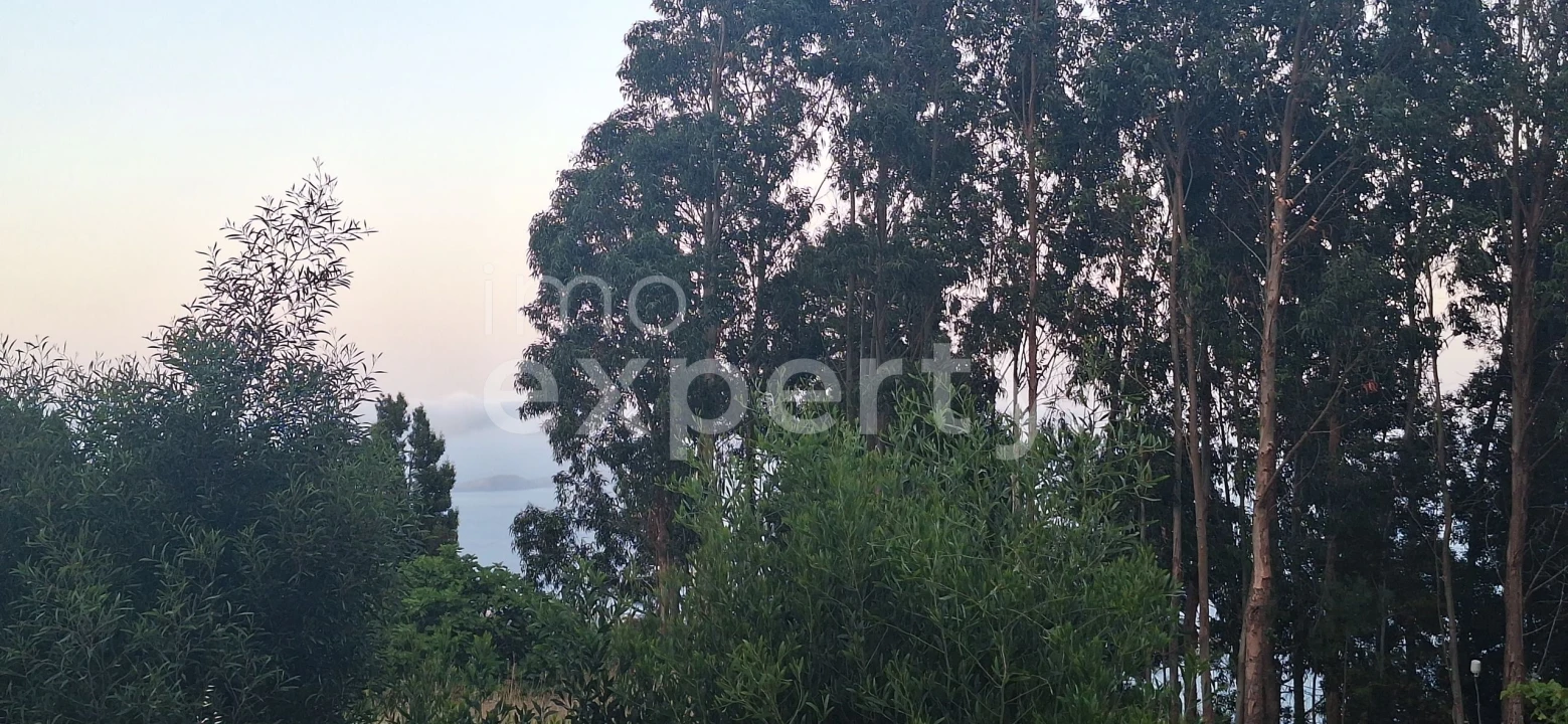 Terreno para Venda em Gaula Foto 8
