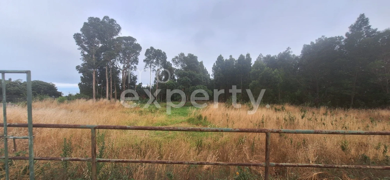 Terreno para Venda em Gaula Foto 11