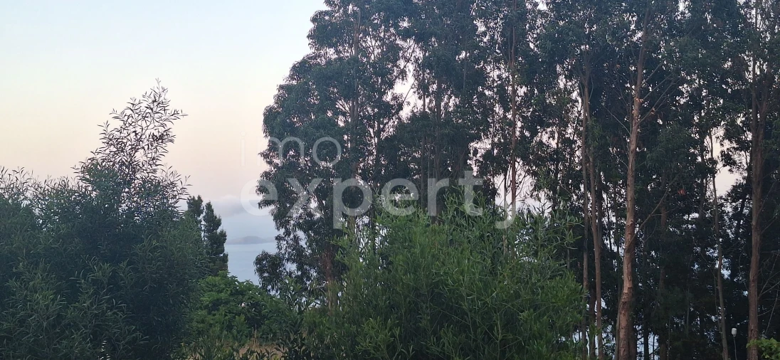 Terreno para Venda em Gaula Foto 8