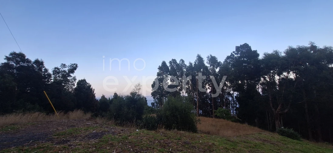 Terreno para Venda em Gaula Foto 7
