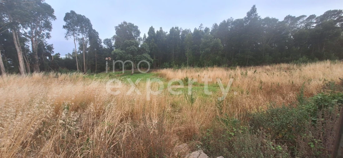 Terreno para Venda em Gaula Foto 8