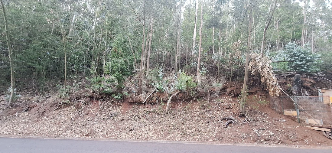 Terreno para Venda em Gaula Foto 5