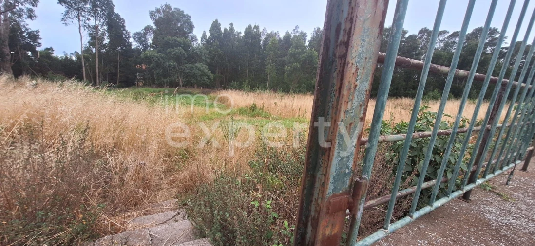 Terreno para Venda em Gaula Foto 12