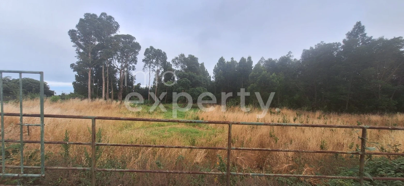 Terreno para Venda em Gaula Foto 10