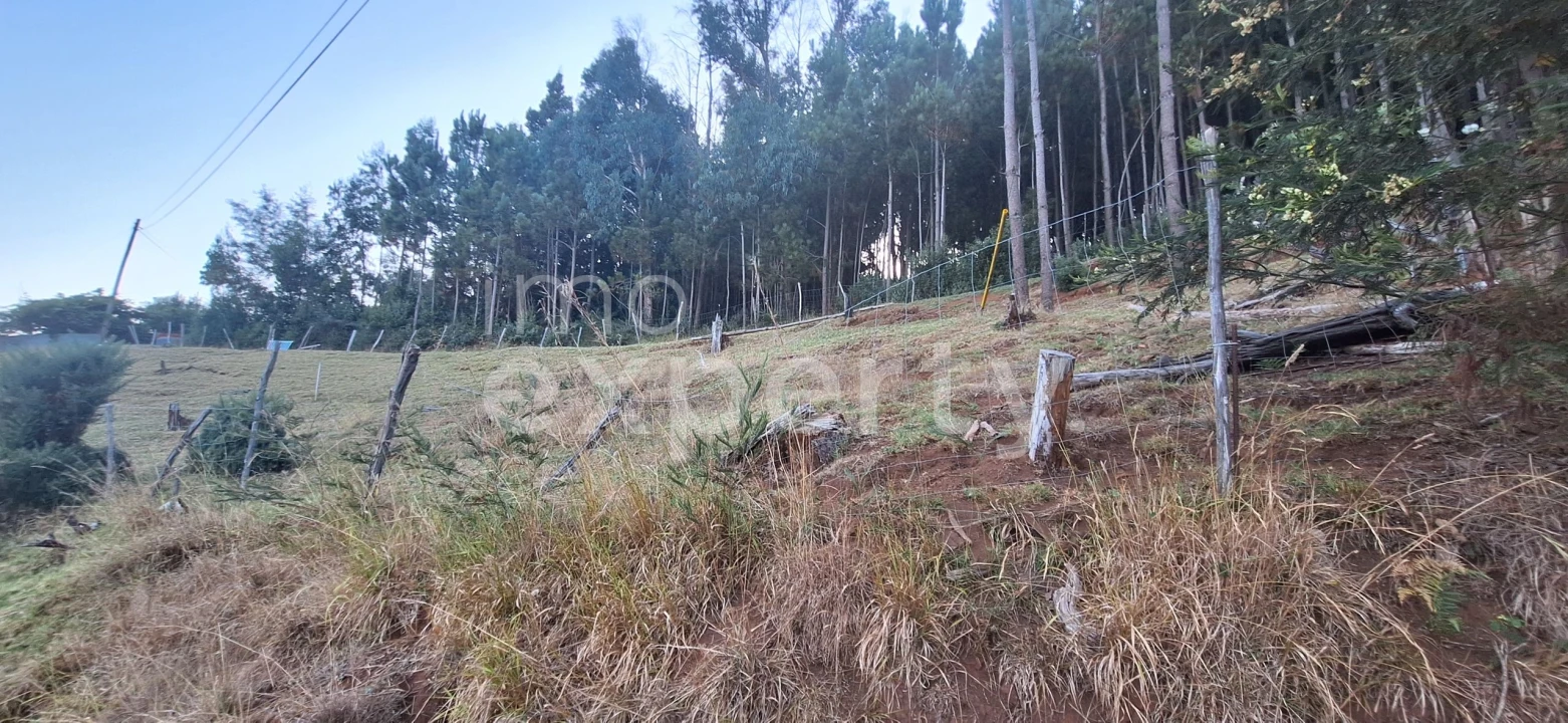 Terreno para Venda em Gaula Foto 1