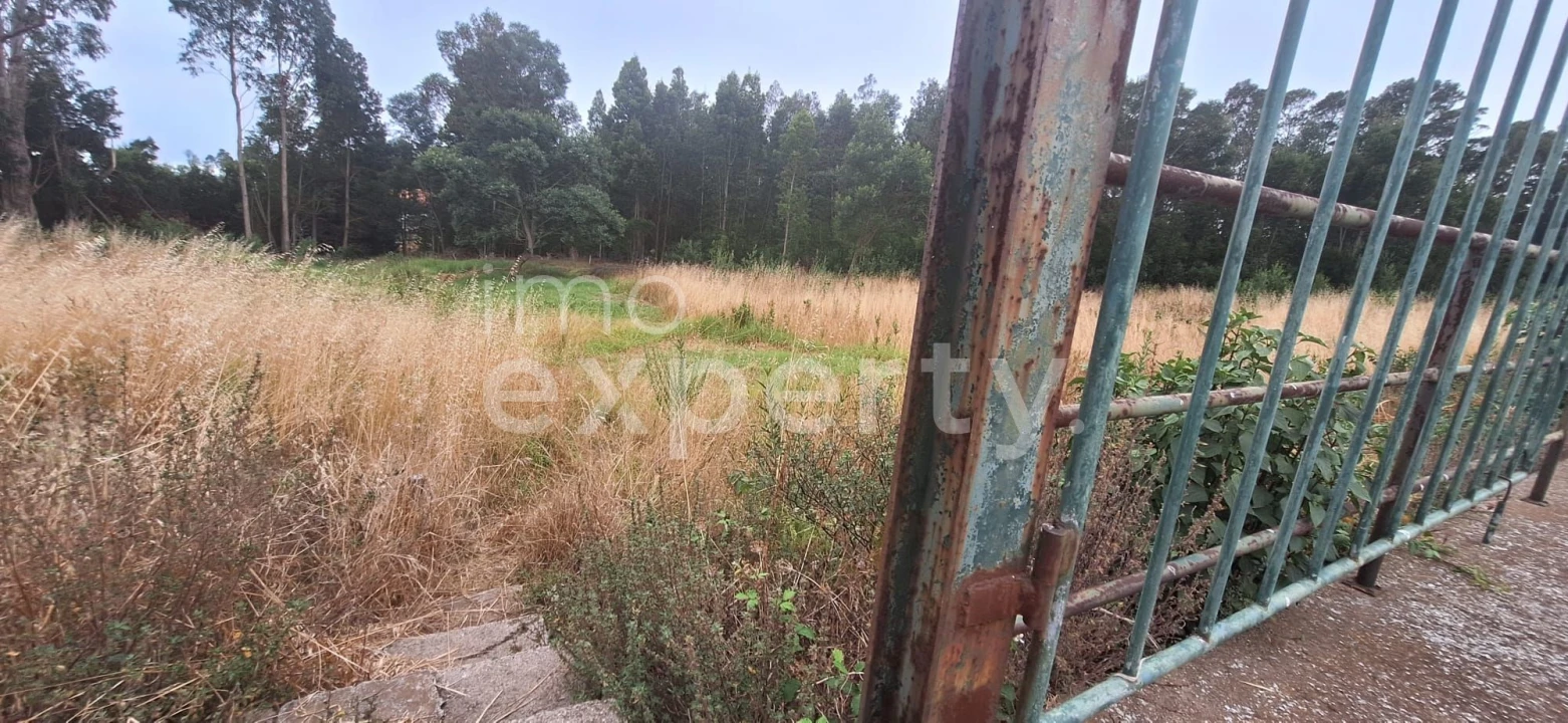 Terreno para Venda em Gaula Foto 12