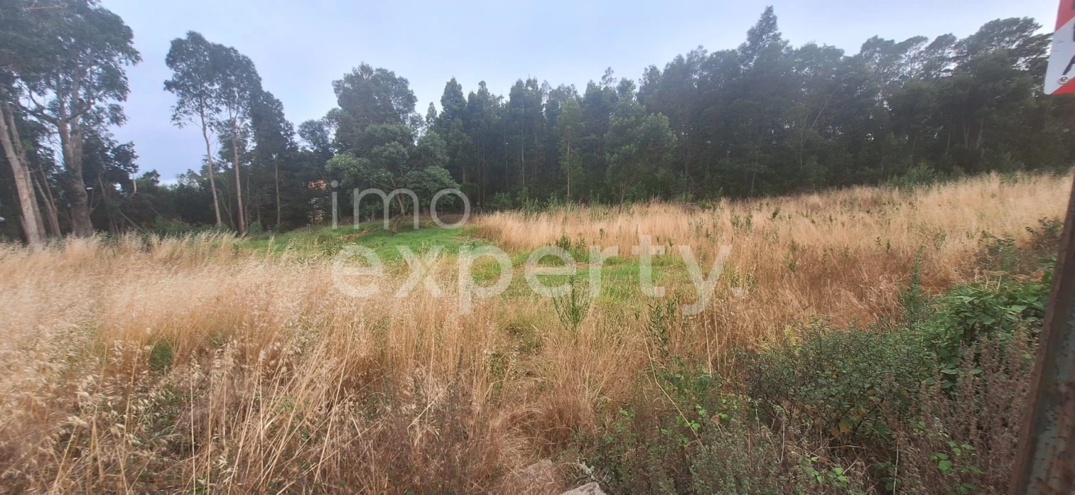 Terreno para Venda em Gaula Foto 9