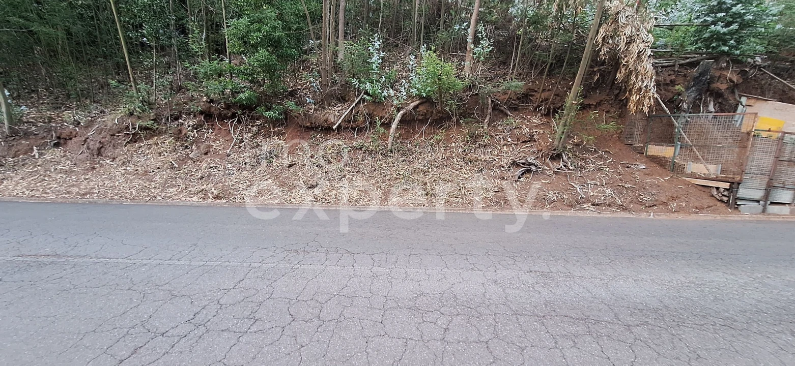 Terreno para Venda em Gaula Foto 9