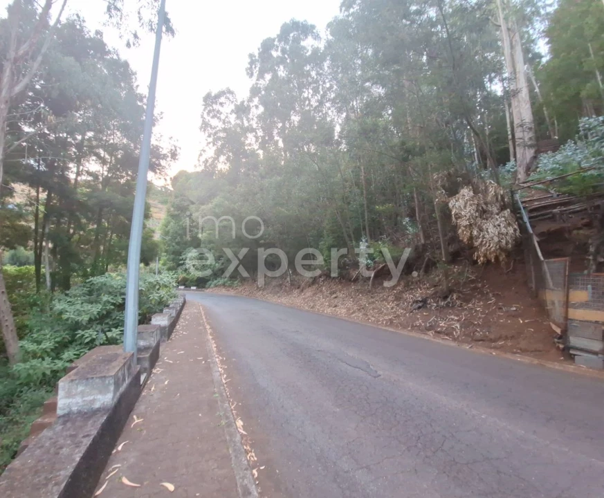 Terreno para Venda em Gaula Foto 1
