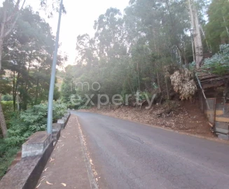 Terreno para Venda em Gaula