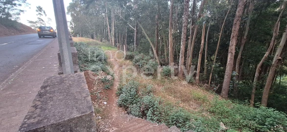 Terreno para Venda em Gaula
