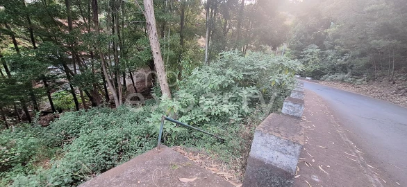 Terreno para Venda em Gaula