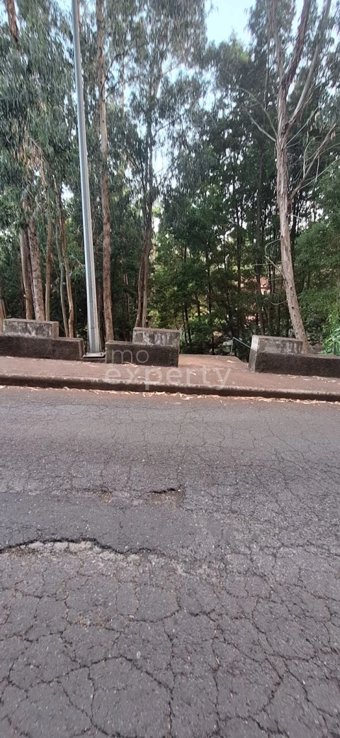 Terreno para Venda em Gaula