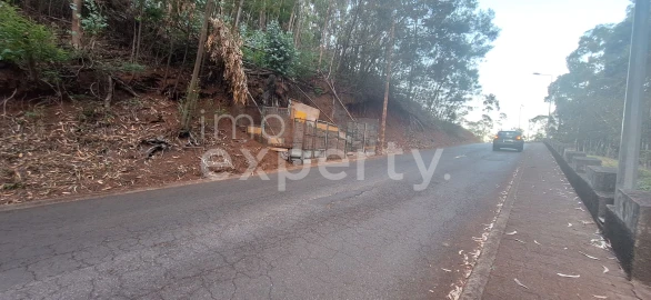 Terreno para Venda em Gaula