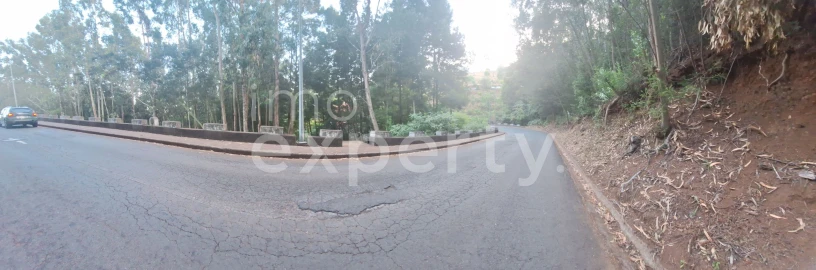 Terreno para Venda em Gaula