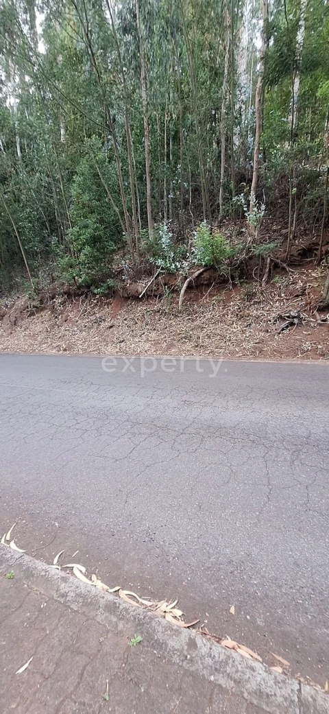 Terreno para Venda em Gaula
