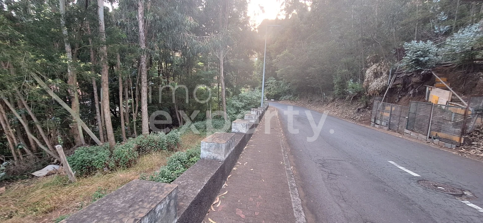 Terreno para Venda em Gaula Foto 4