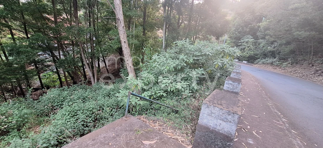 Terreno para Venda em Gaula Foto 12