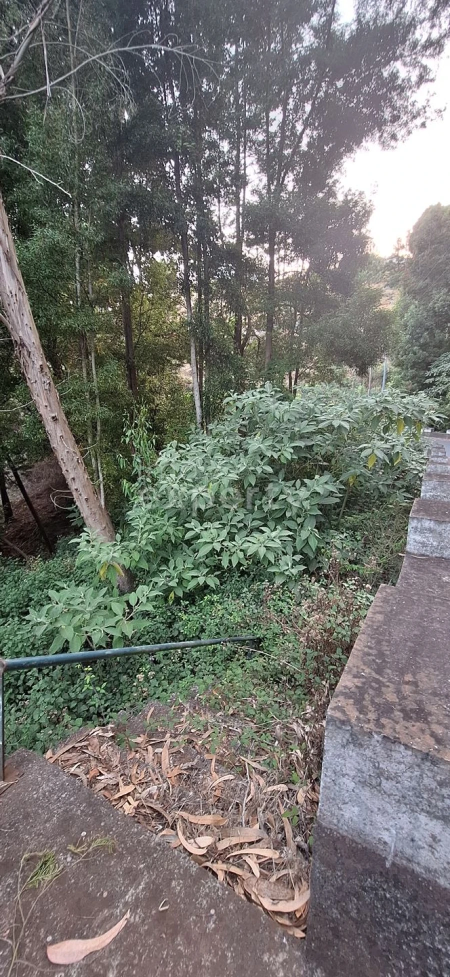 Terreno para Venda em Gaula Foto 15