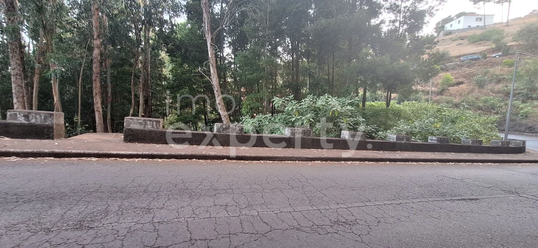 Terreno para Venda em Gaula Foto 6