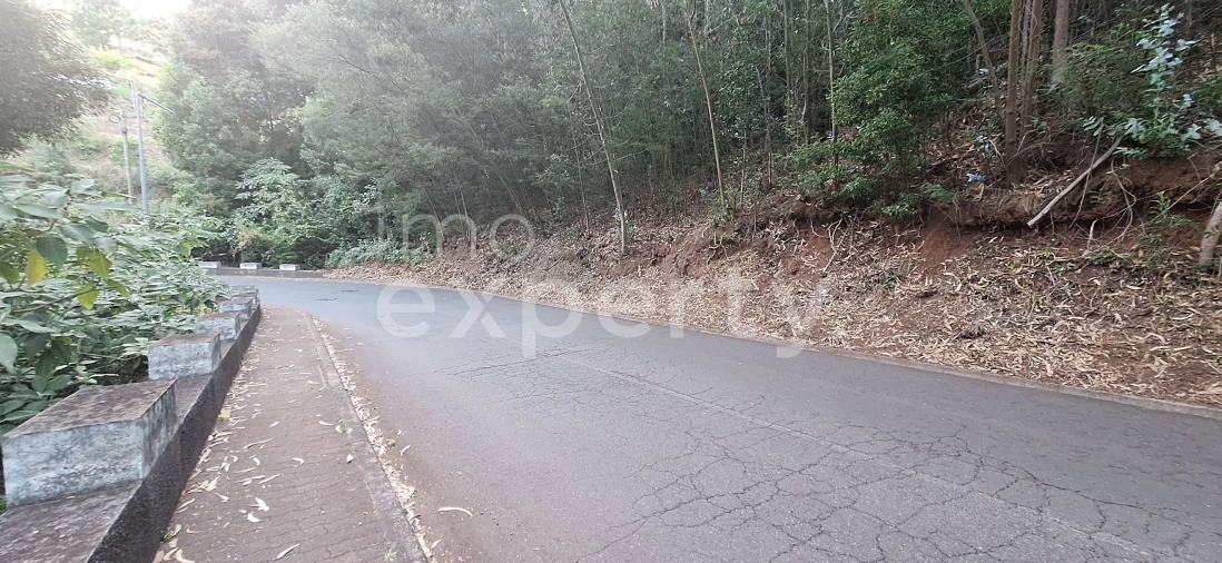 Terreno para Venda em Gaula Foto 10