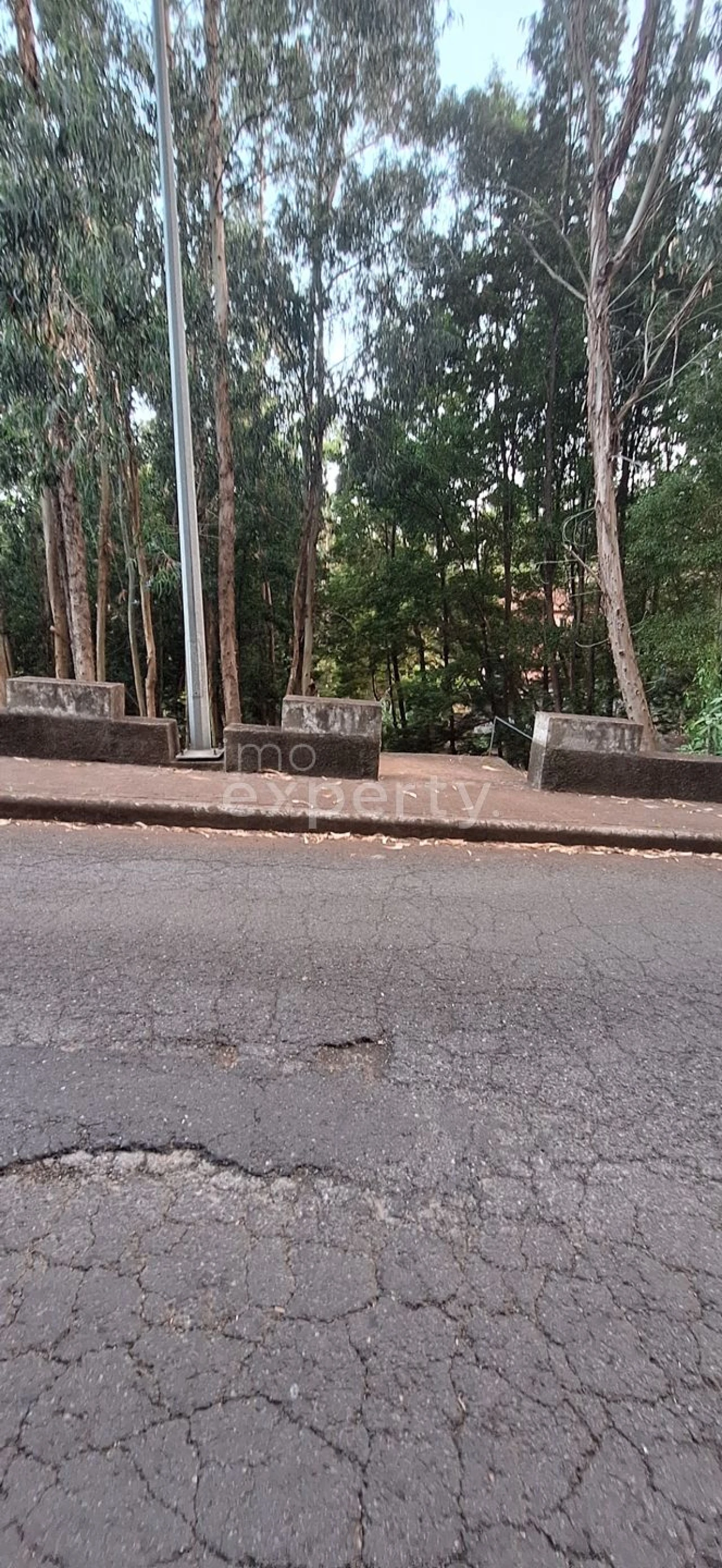 Terreno para Venda em Gaula Foto 18
