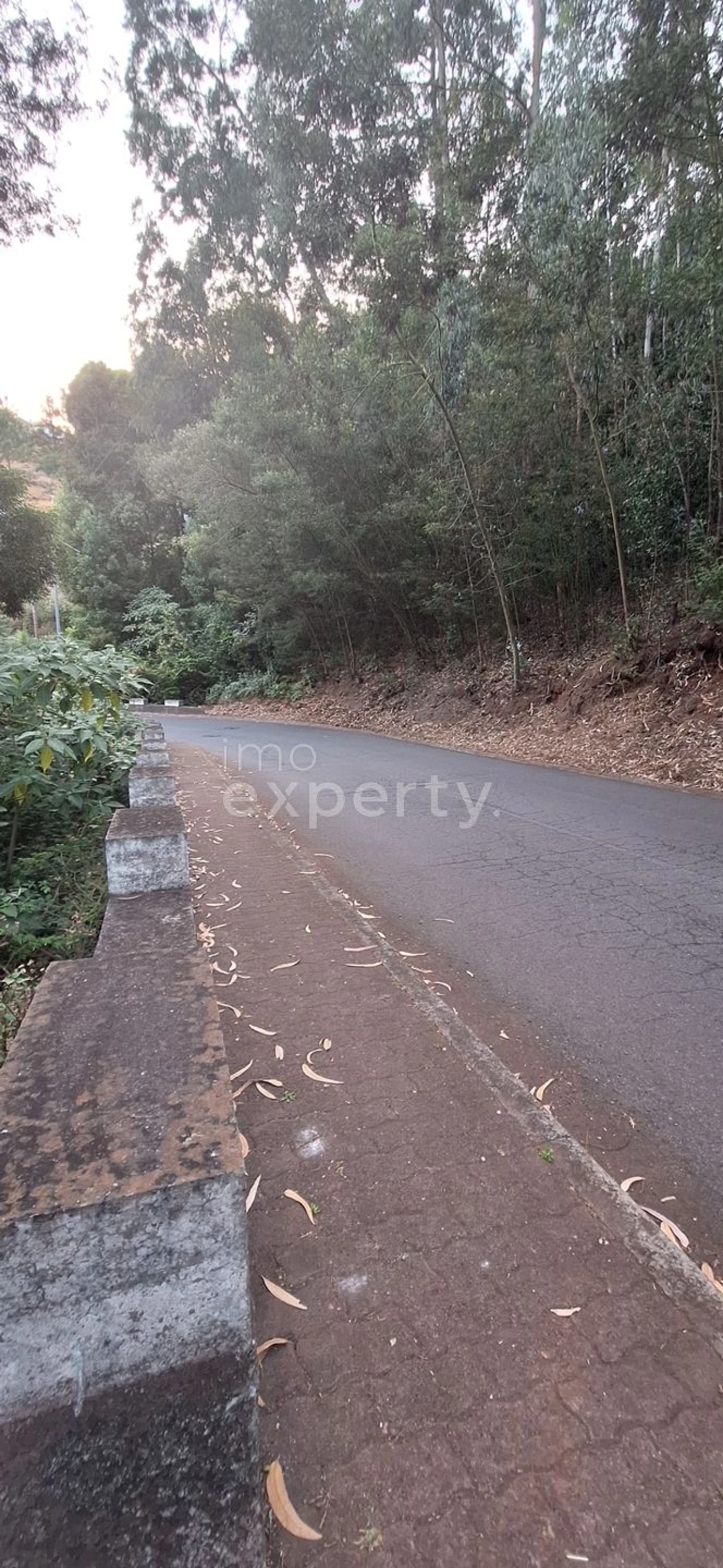 Terreno para Venda em Gaula Foto 16