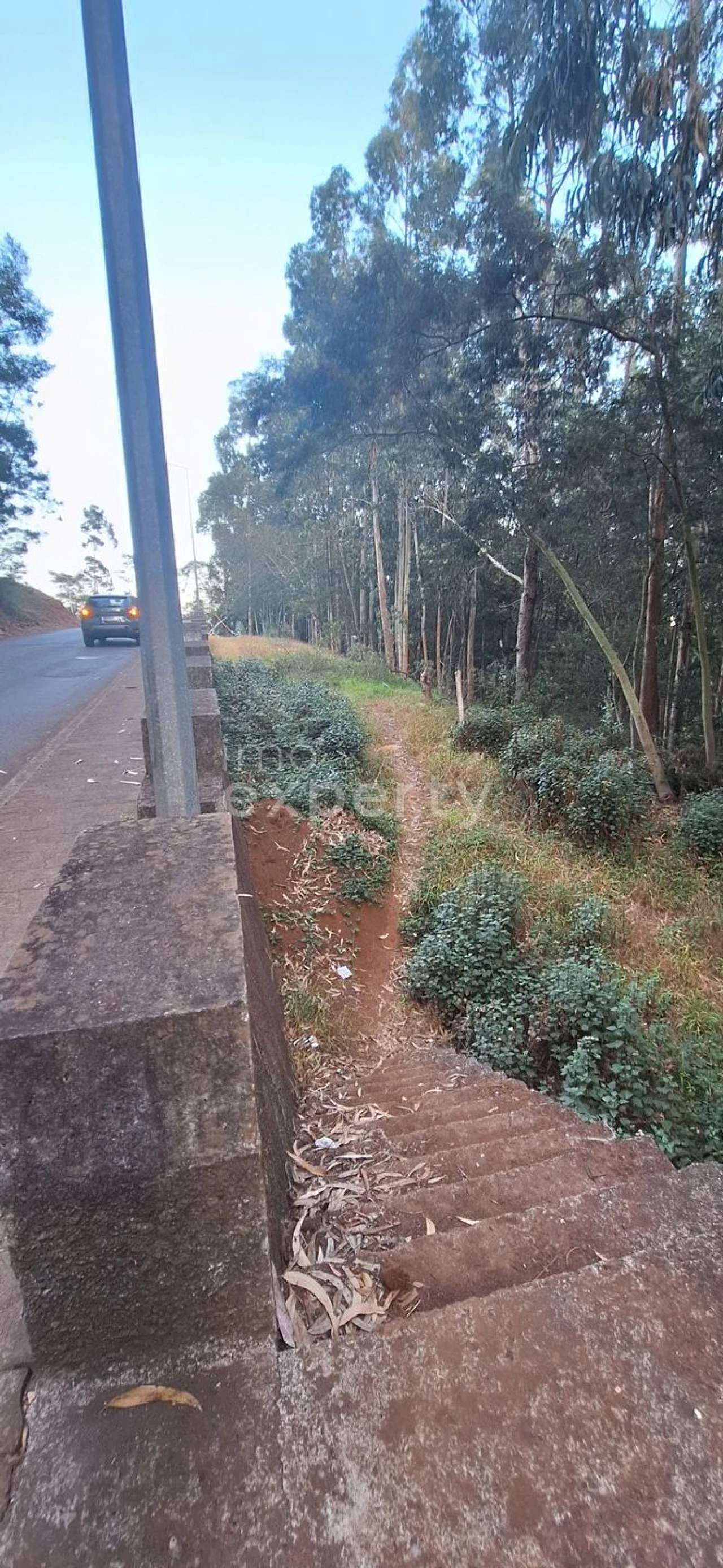 Terreno para Venda em Gaula Foto 14
