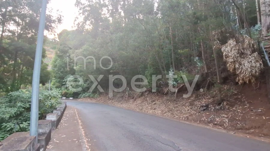 Terreno para Venda em Gaula