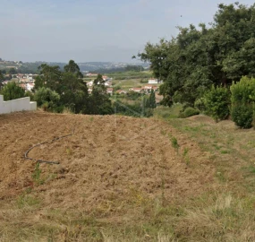 Terreno para Venda em Alcobaça e Vestiaria