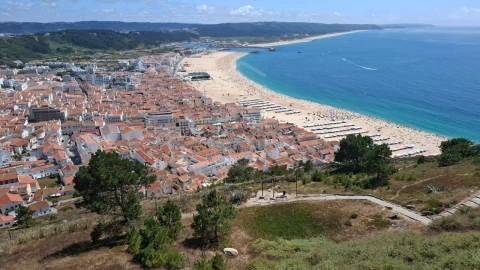 Terreno para Venda em Alcobaça e Vestiaria