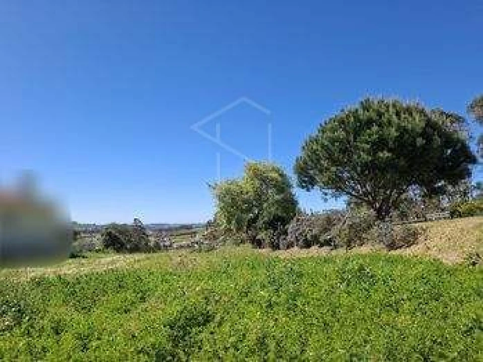 Terreno para Venda em Alcobaça e Vestiaria Foto 11