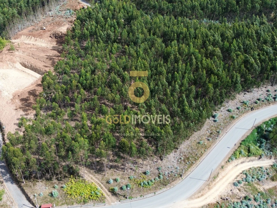 Terreno para Venda em Raiva, Pedorido e Paraíso Foto 1
