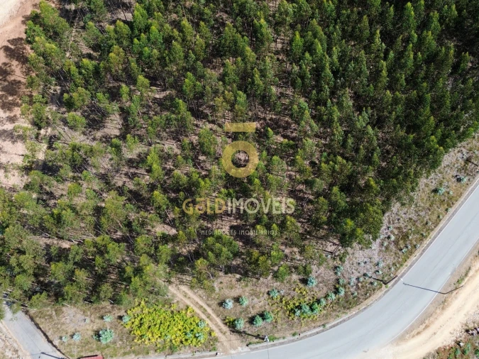 Terreno para Venda em Raiva, Pedorido e Paraíso Foto 3