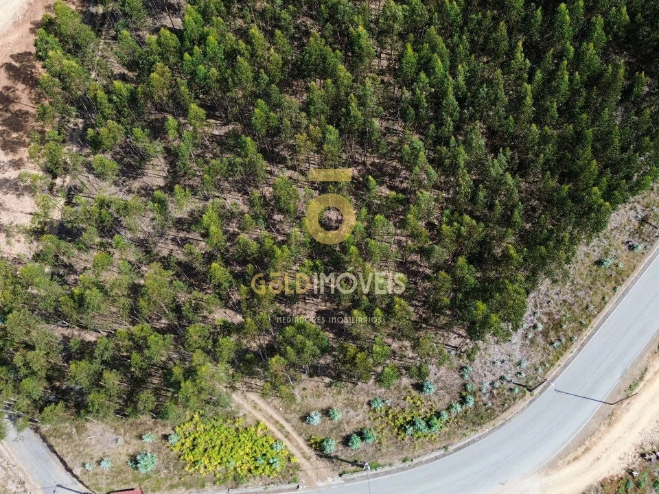Terreno para Venda em Raiva, Pedorido e Paraíso Foto 3