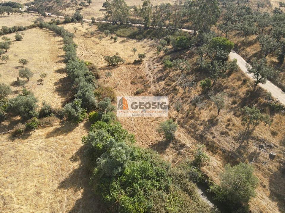 Terreno para Venda em Santa Clara-A-Nova e Gomes Aires Foto 8