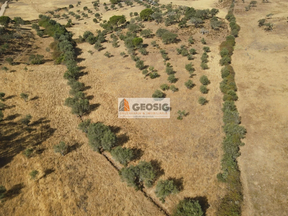 Terreno para Venda em Santa Clara-A-Nova e Gomes Aires Foto 10
